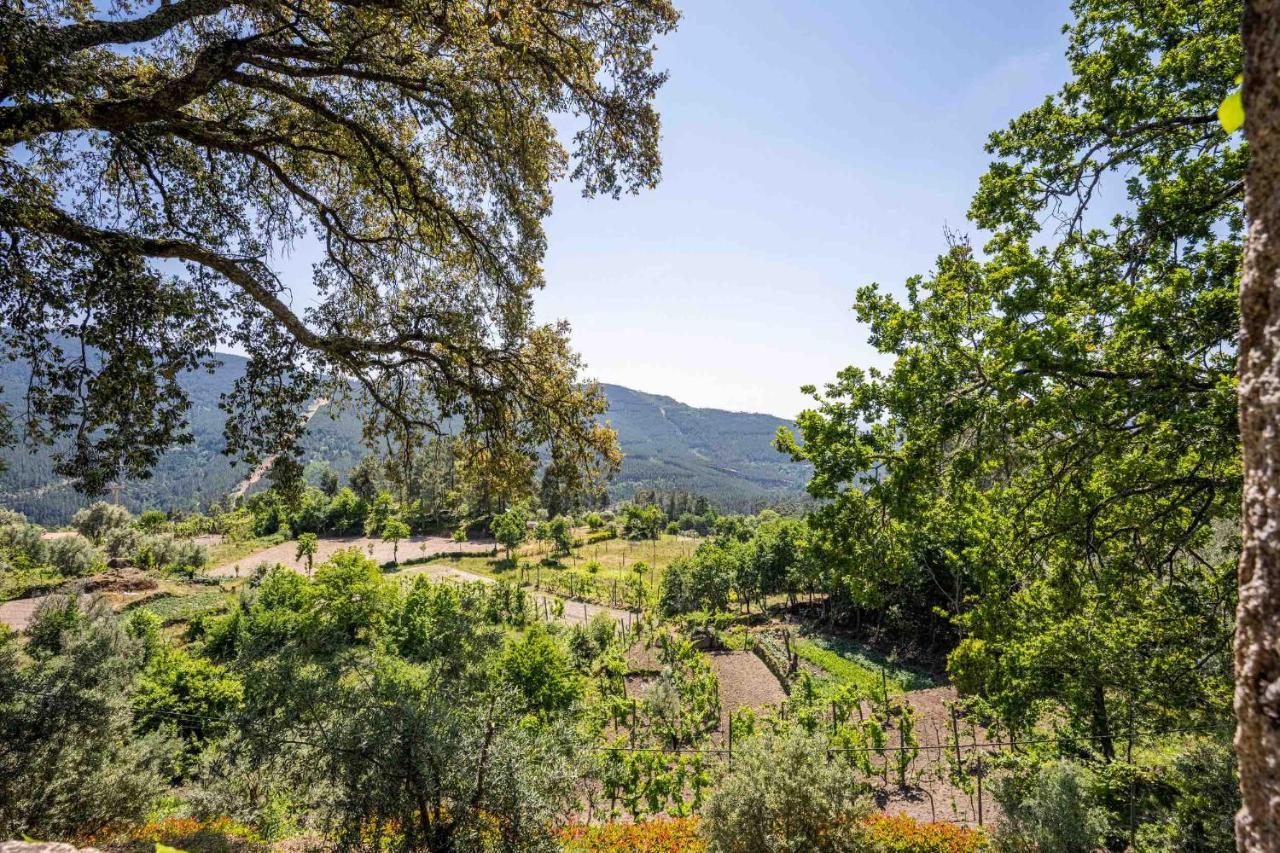 מונדים דה בסטו Quinta Da Baldieira מראה חיצוני תמונה