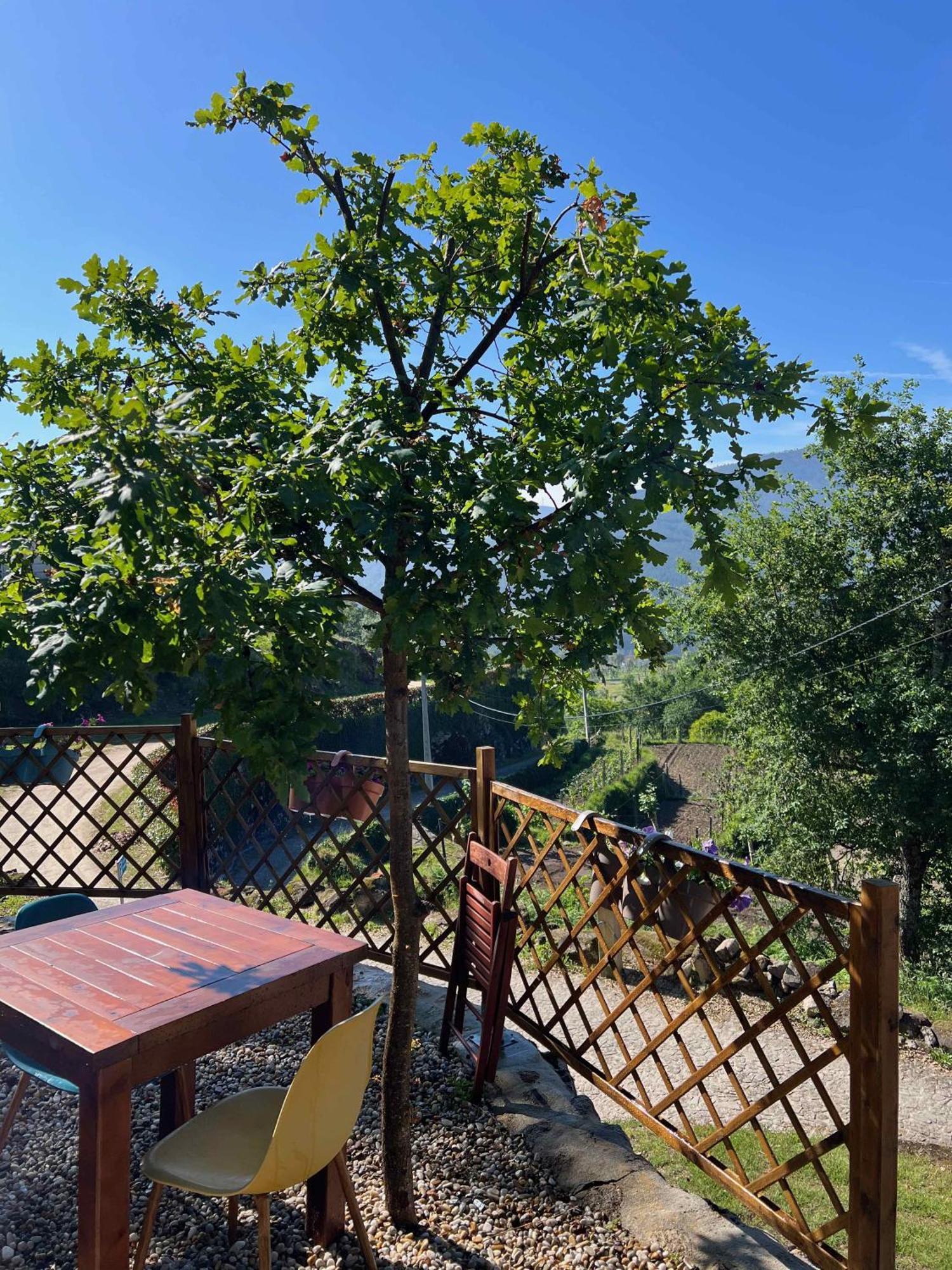 מונדים דה בסטו Quinta Da Baldieira מראה חיצוני תמונה