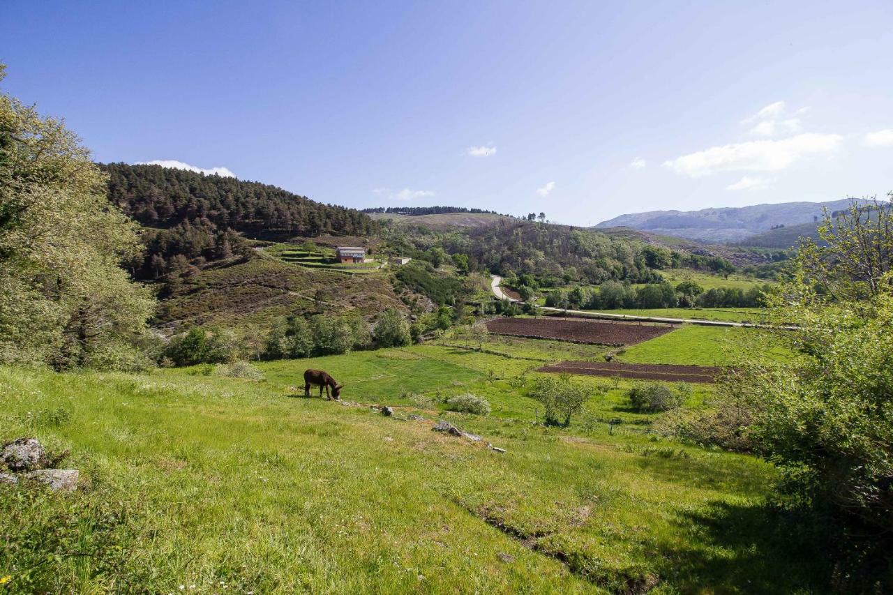 מונדים דה בסטו Quinta Da Baldieira מראה חיצוני תמונה